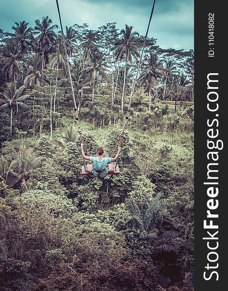 Woman Sitting On Wood Plank In Zip-line