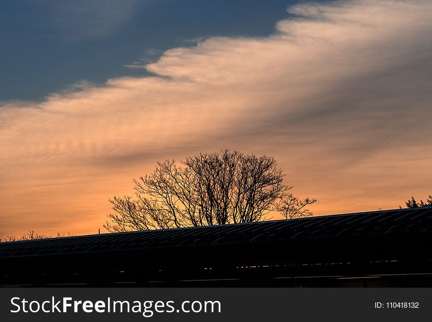 Silhouette of Leafless Tree Under Cloudy Sky