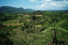 Scenic View Of Vinales Valley, Cuba Royalty Free Stock Image