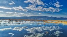 Reflection Of Clouds At The Wetland Of Lake Doriani On A Winter Stock Image
