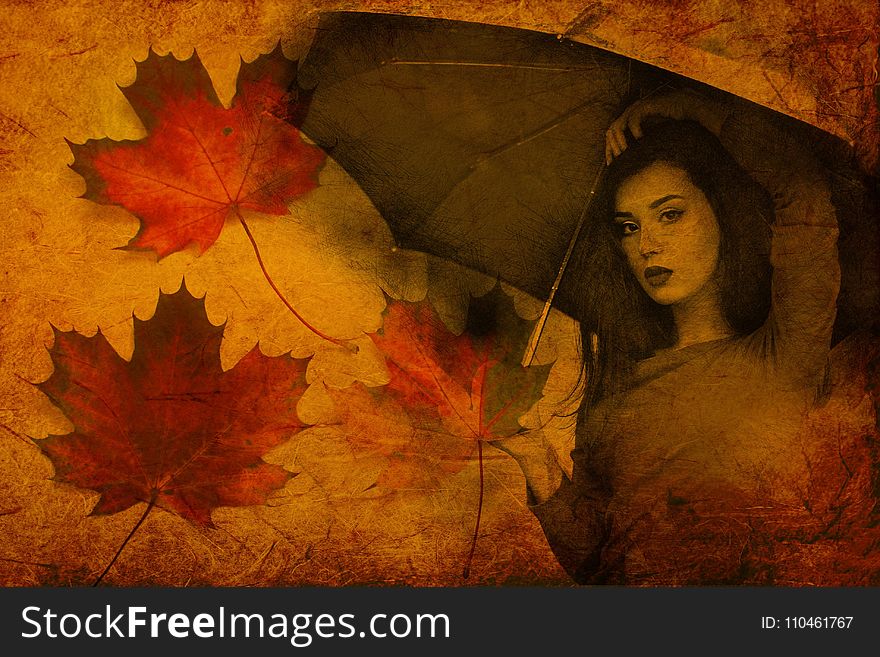 Leaf, Autumn, Maple Leaf, Yellow