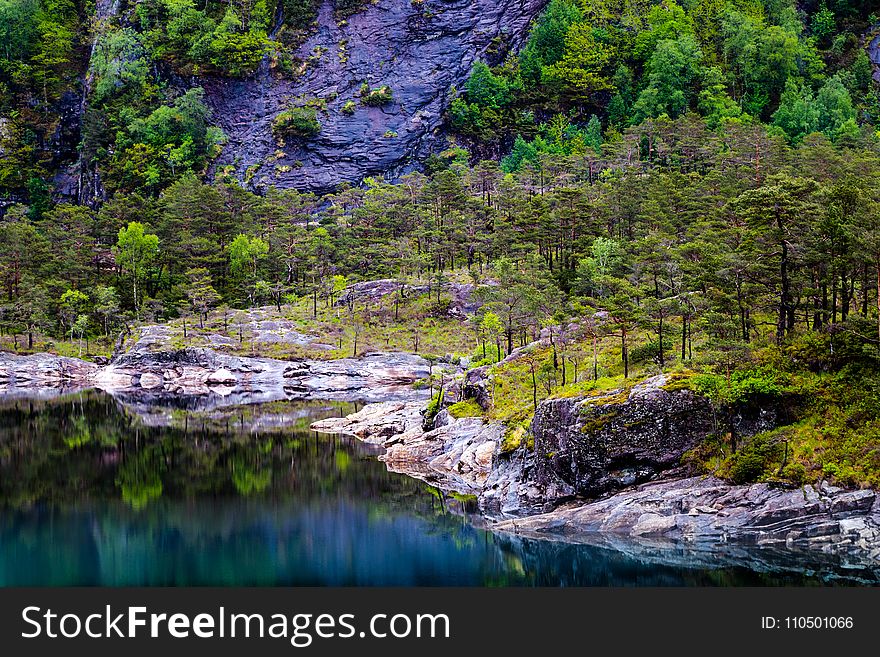 Landscape Photography of Lake and Trees