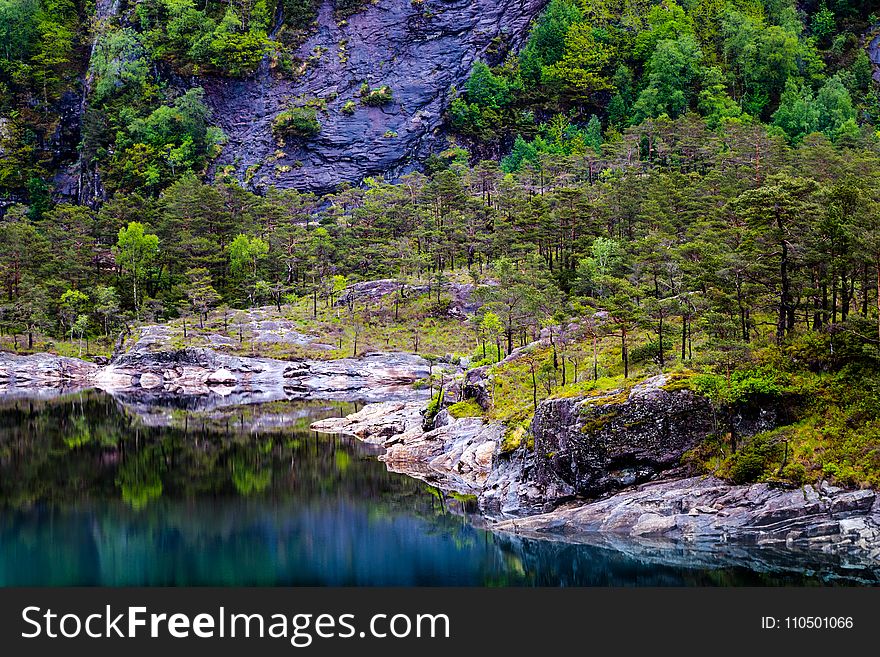 Landscape Photography Of Lake And Trees