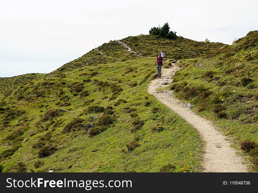 Ridge, Hill, Path, Vegetation