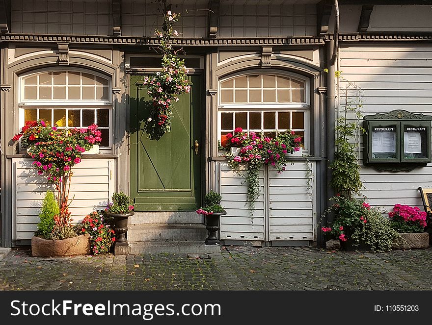 Flower, House, Home, Door