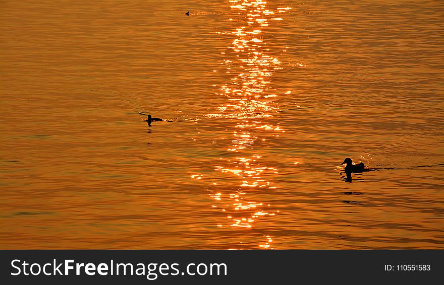 Water, Reflection, Sea, Orange