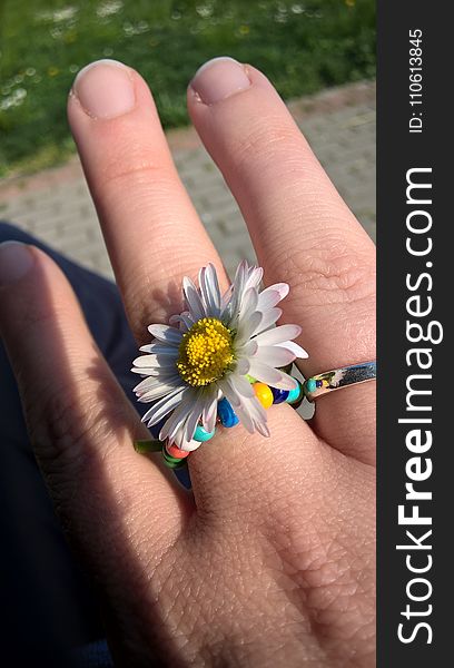 Flower, Hand, Flora, Finger