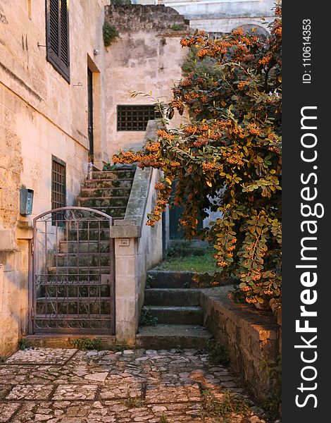 Wall, Historic Site, Village, Autumn