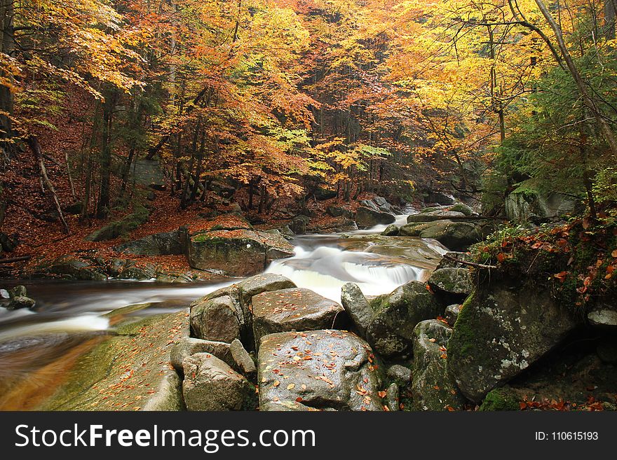 Nature, Water, Stream, Body Of Water