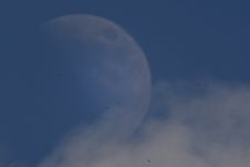 A Day Moon In The Clouds Royalty Free Stock Image