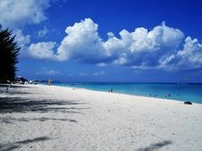 On A Beach In Cayman Island Stock Images