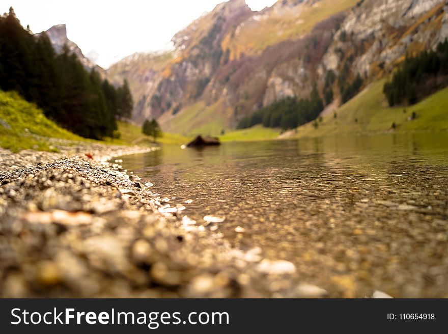 Shallow Focus Photography of Body of Water Near Mountain