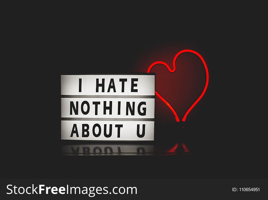I Hate Nothing About You With Red Heart Light