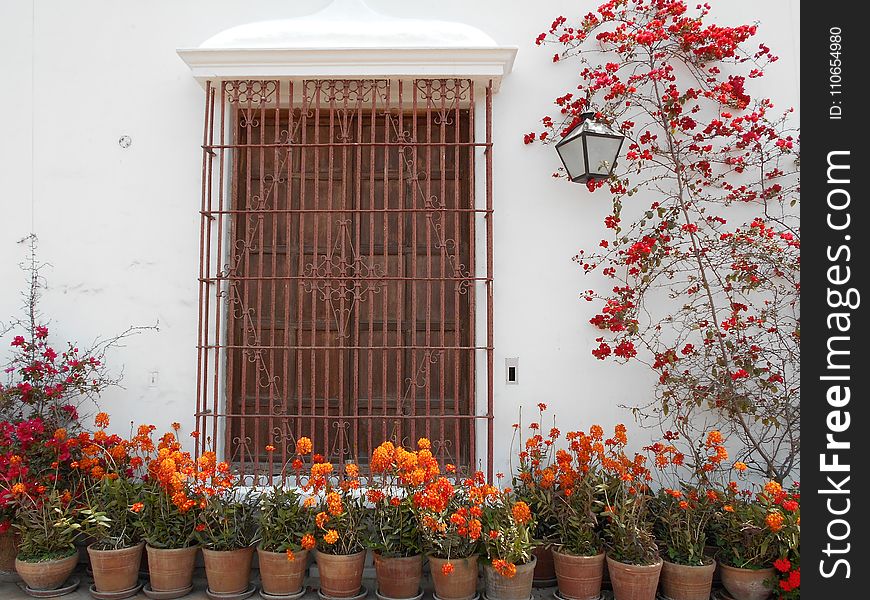 Brown Metal Window Frame Surrounded by Flowers