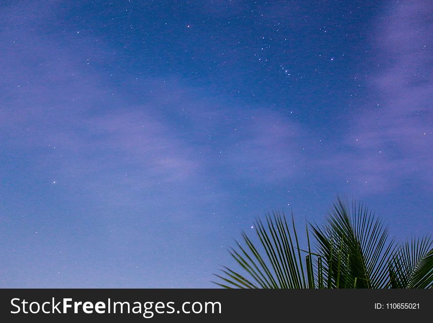 Starry Sky during Dusk