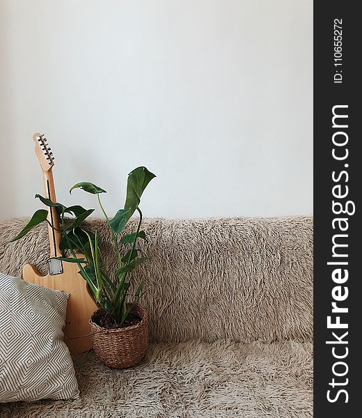 Green Leaf Plant Beside Brown Electric Guitar on Sofa