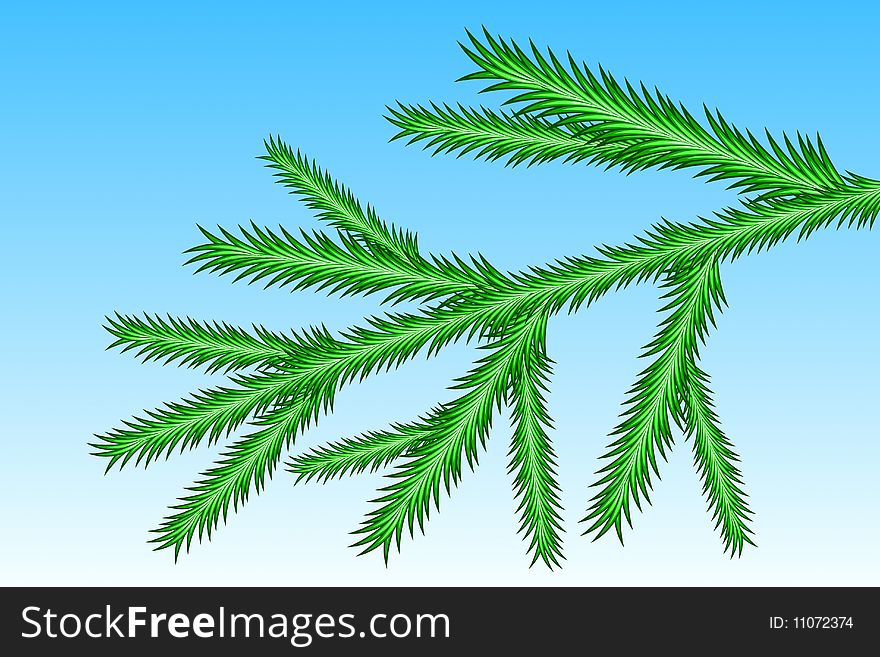 Vector illustration of Spruce Branch