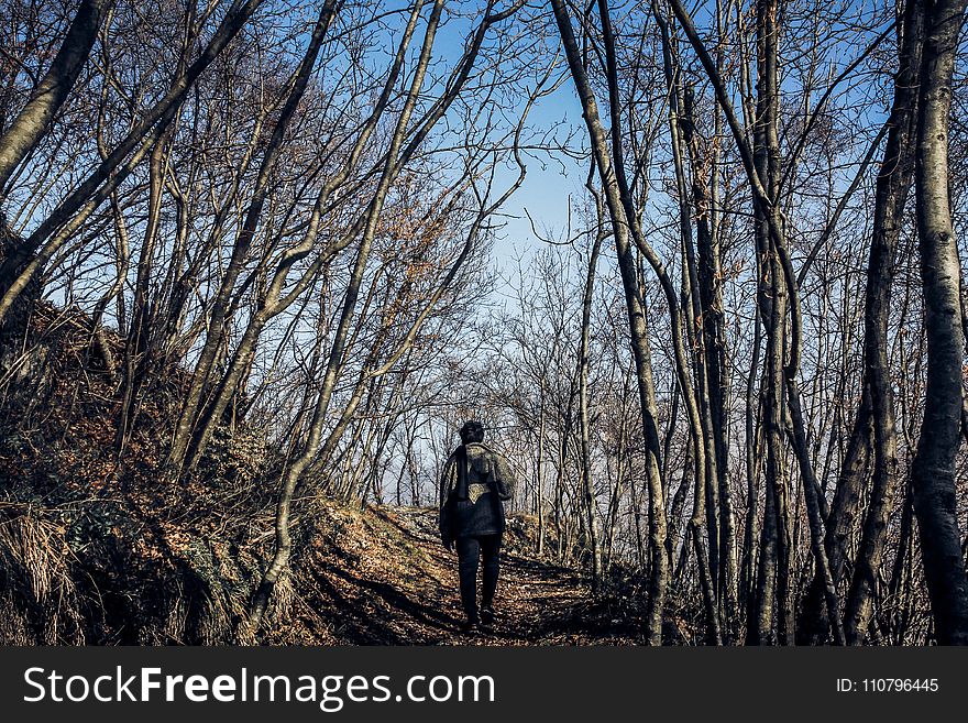 Man in Middle of Forest