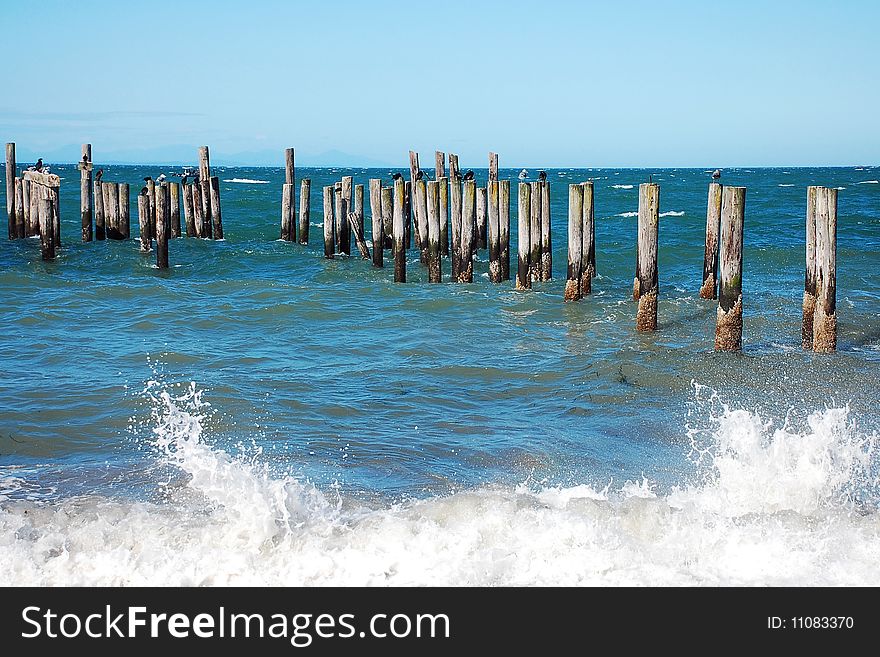 Wooden pilings on ocean coastline with crashing waves. Wooden pilings on ocean coastline with crashing waves