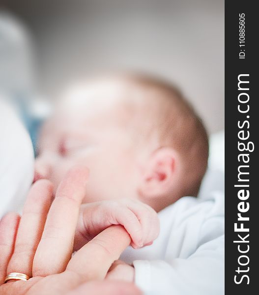 Tilt-shift Lens Photo Of Infant&x27;s Hand Holding Index Finger Of Adult