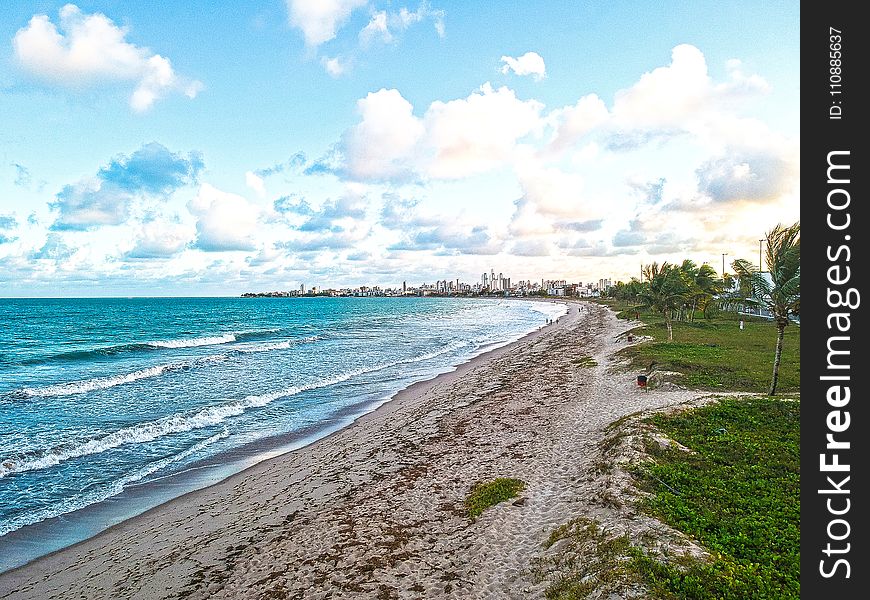 Seashore With Green Palm Trees