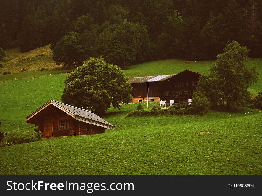 Two Brown Wooden Cabins in Green Grass Field