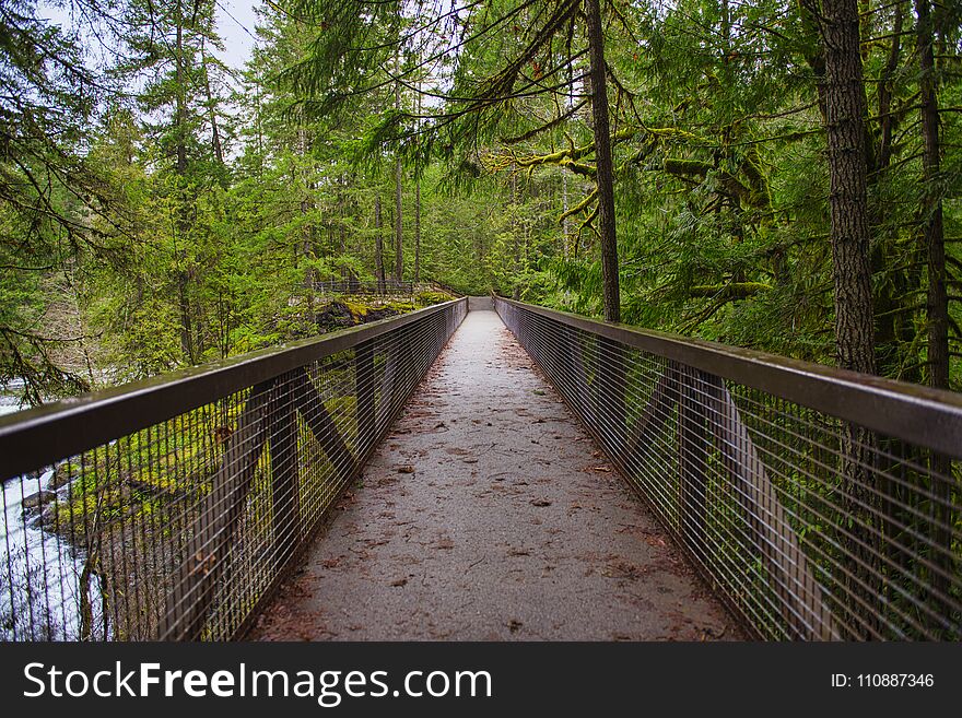 View of the bridge over Englishman River Falls in Vancouver Island, BC
