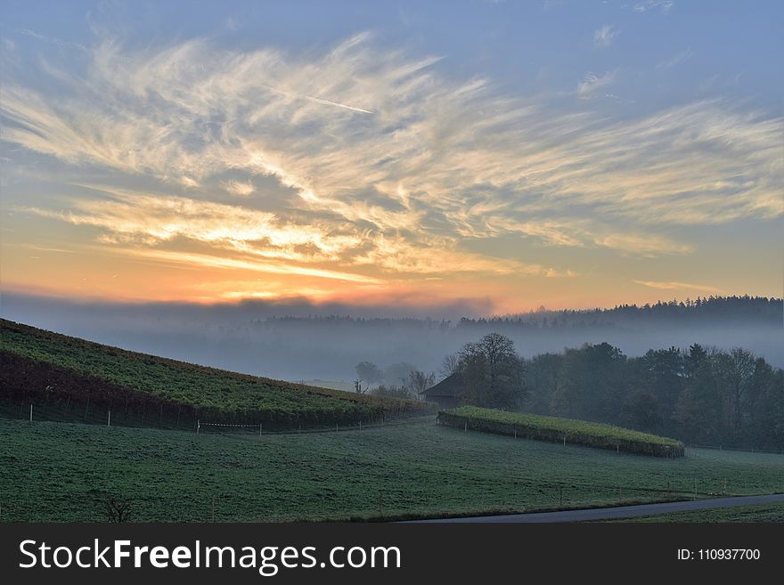 Sky, Dawn, Nature, Field