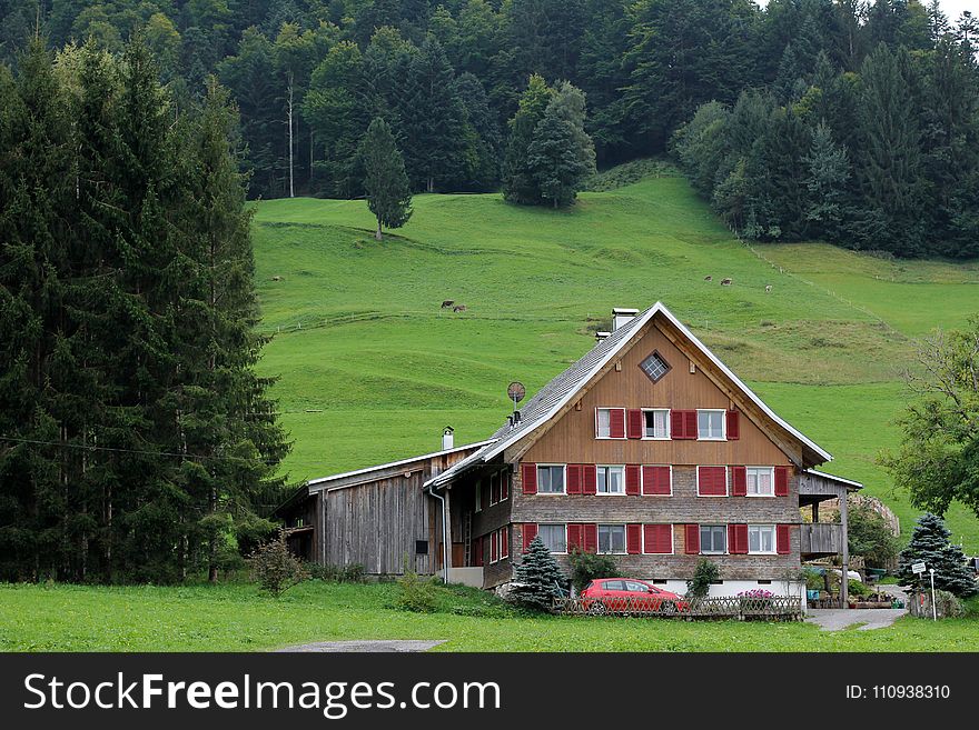 Home, Property, Pasture, Grassland