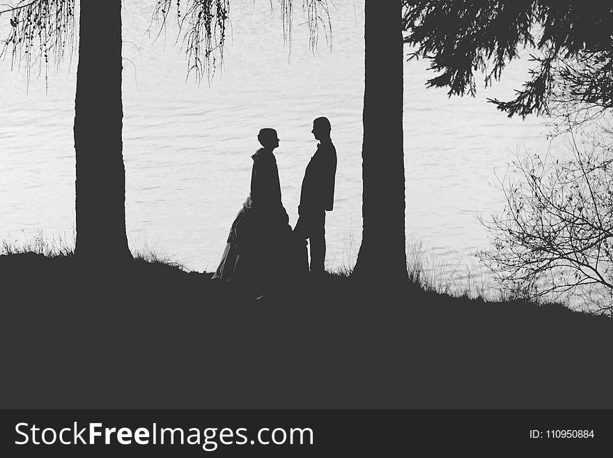 Photograph, Black And White, Monochrome Photography, Silhouette