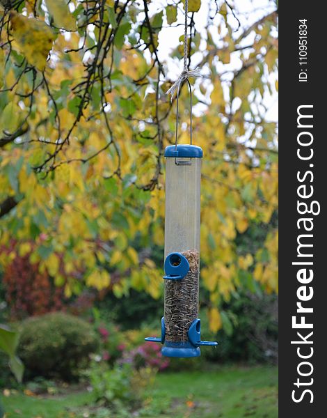 Bird Feeder, Branch, Tree, Leaf