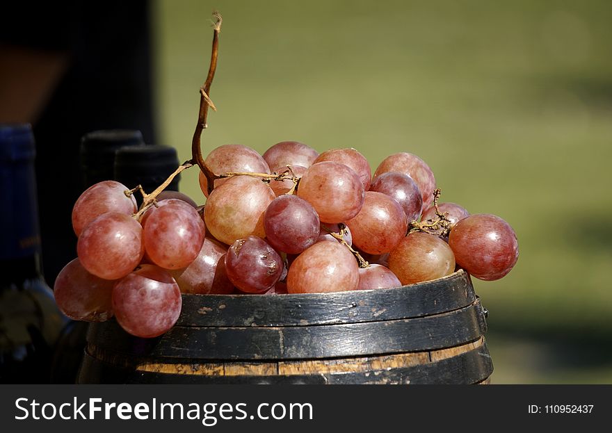 Fruit, Grape, Grapevine Family, Food
