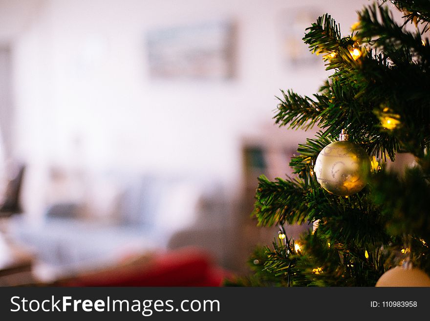 Shallow Focus Photography of Christmas Tree