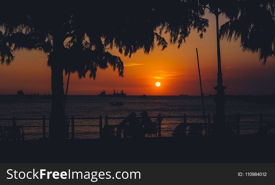 Silhouette of Trees Near Body of Water