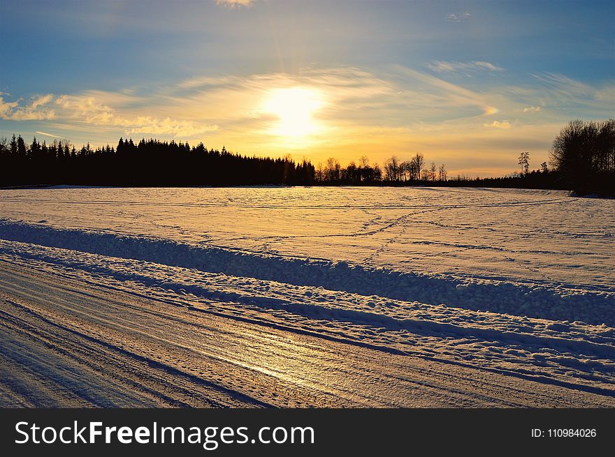 Silhouette Of Trees In Front Of Snow Field Durin Sunrise