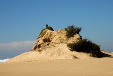 Man Standing On A Rocky Sand Dune Looking Out To Sea Royalty Free Stock Image Man Standing On A Rocky Sand Dune Looking Out To Sea Royalty Free Stock Image