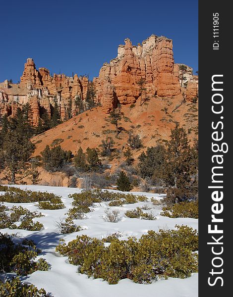 Winter scene in Bryce Canyon National Park. Winter scene in Bryce Canyon National Park