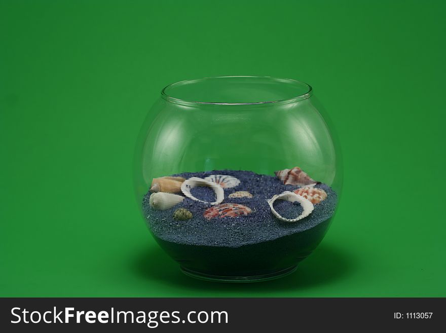 Isolated sea shell in glass jar. Isolated sea shell in glass jar