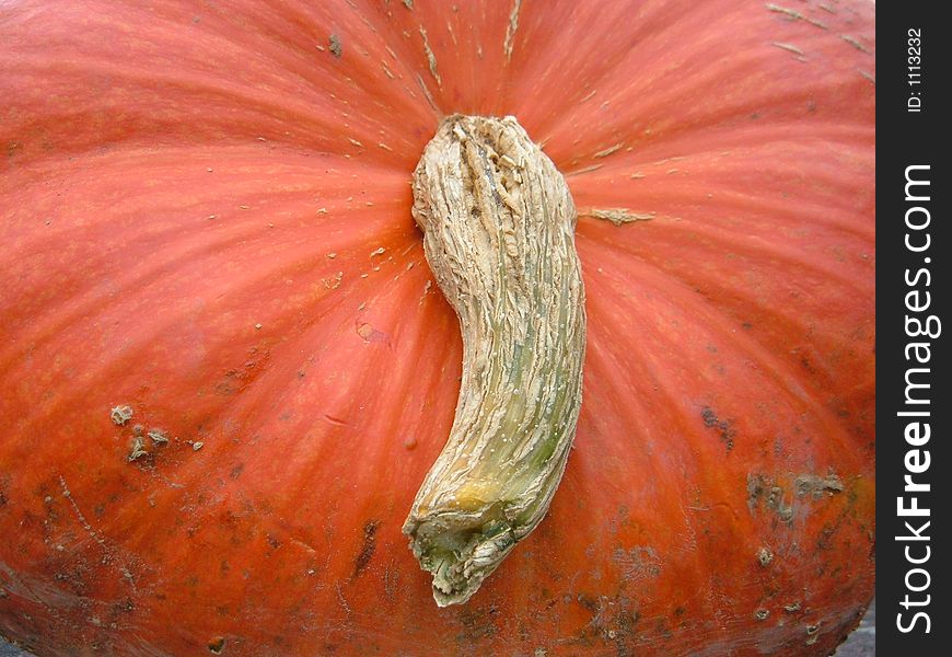 Looking down on a red pumpkin