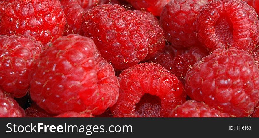 A close up of Raspberries. A close up of Raspberries