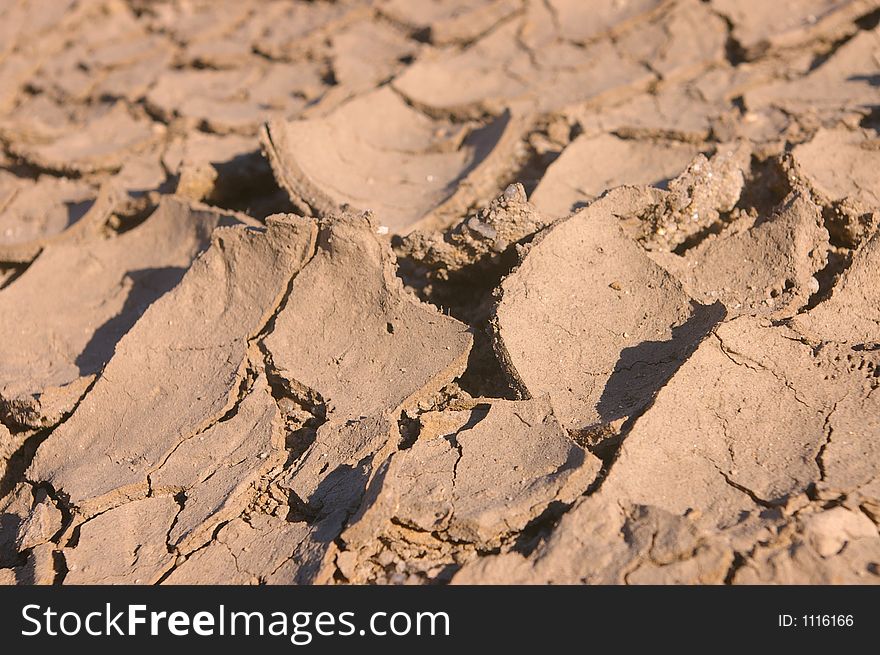 Dried mud during a drought