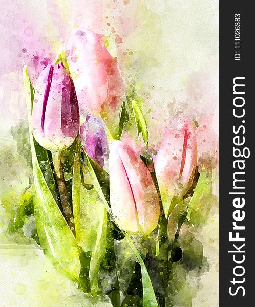 Flower, Watercolor Paint, Flowering Plant, Petal
