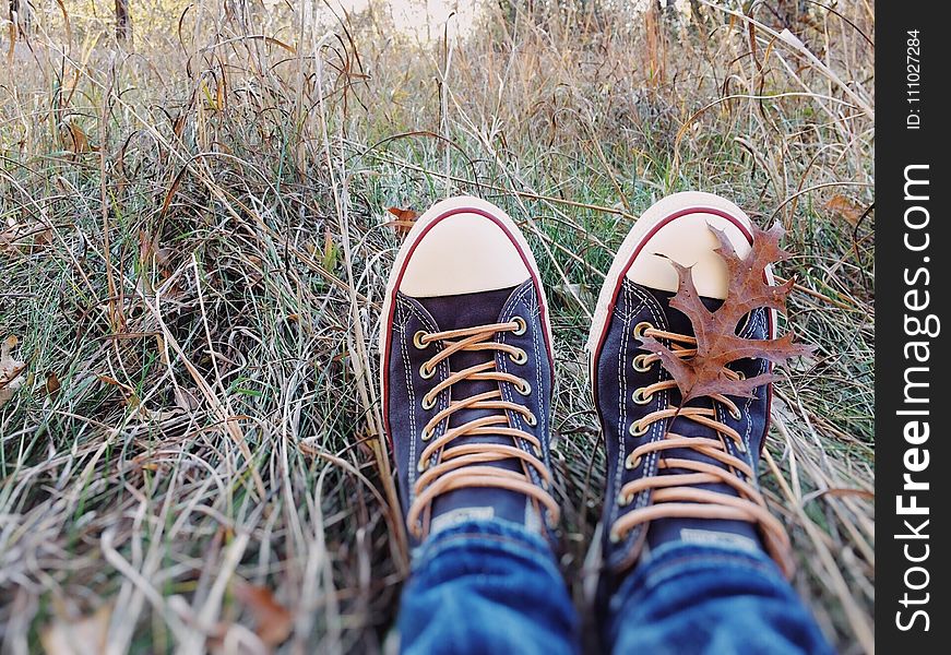 Footwear, Grass, Shoe, Plant