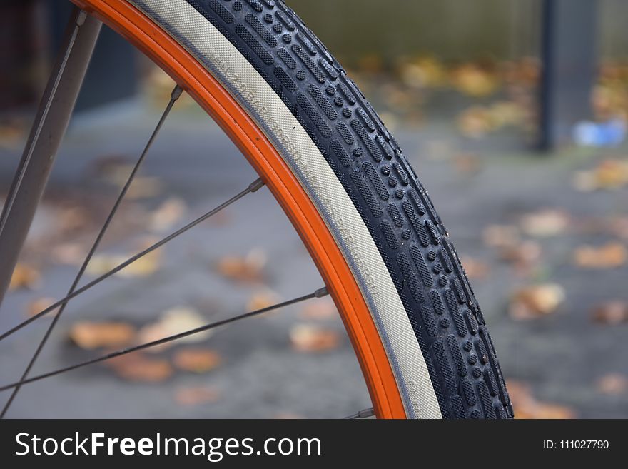 Bicycle Wheel, Bicycle, Road Bicycle, Tire