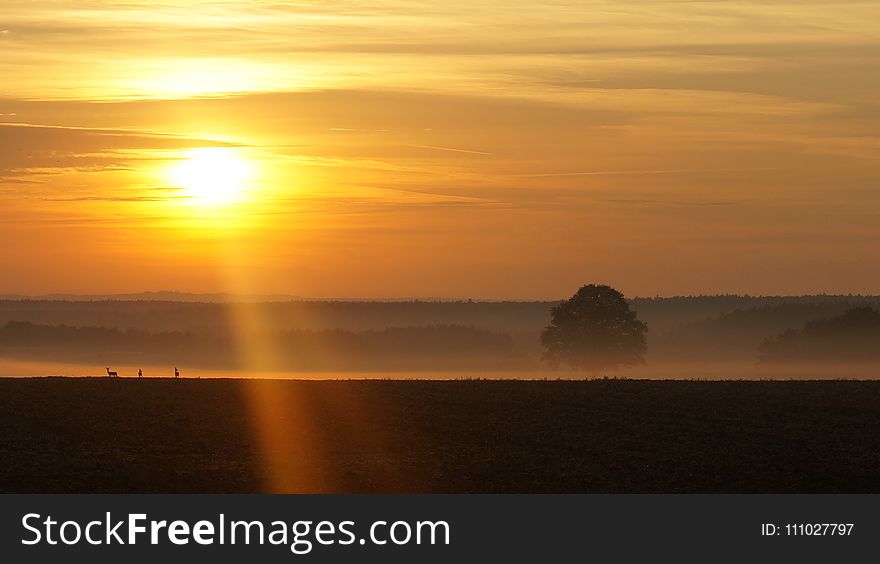 Horizon, Sunrise, Sky, Afterglow