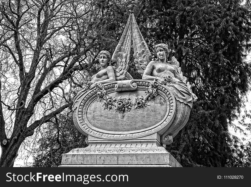 Landmark, Black And White, Monochrome Photography, Tree