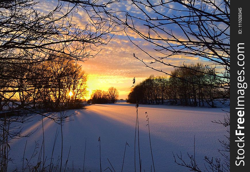 Sky, Winter, Snow, Nature