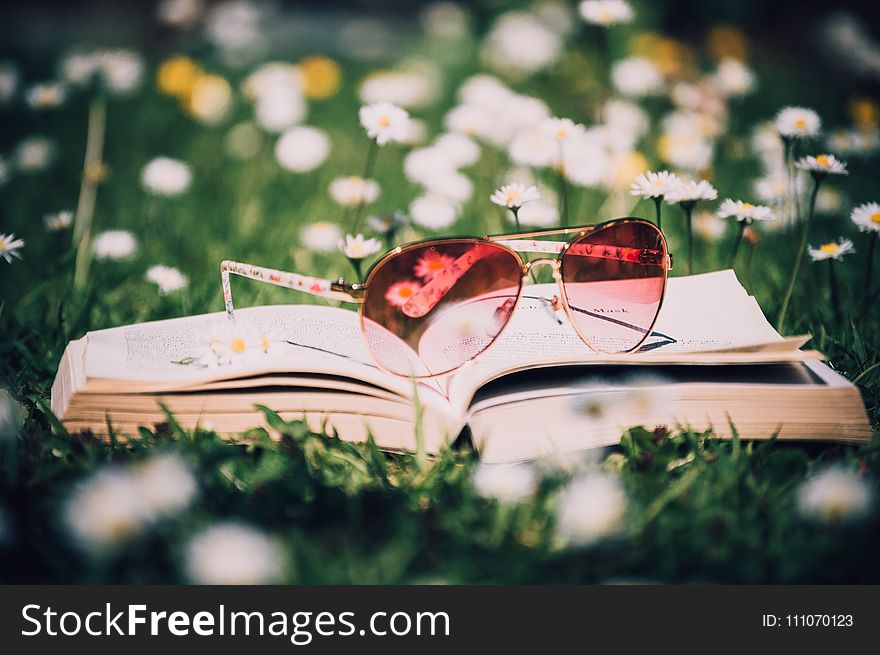 Photo of Red Sunglasses With Gold Frame on Book Surrounded by White Flowers