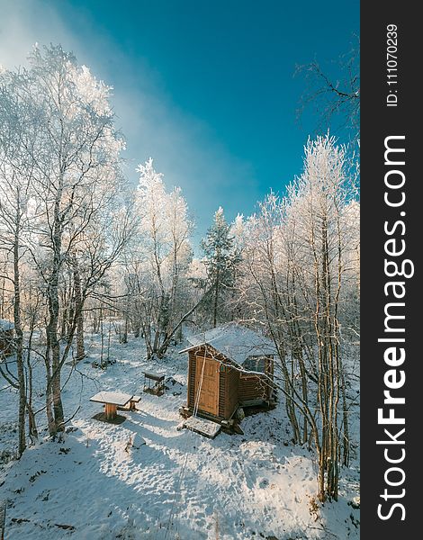 Brown House Near Snow Covered Tree