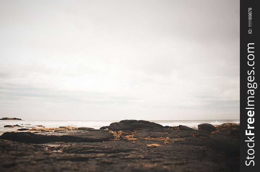 Black Soil And Body Of Water